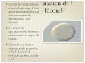 Les cours de SVT de Mr Giovannoni du Lycée Bel Air de Ste Suzanne