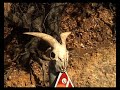 Δείτε το βίντεο