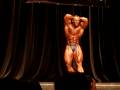 Huge Armin Scholz Houston Pro 2008 final posing routine. He placed 4th.
