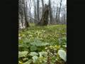 Bieszczady 2008