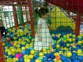 المنتزة