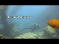 Catalina Dives - August 28, 2005
