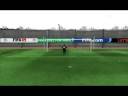 chivu goal fifa 09
