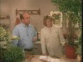 Martha Stewart: Ficus care
