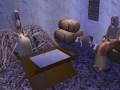 The Nativity (Sims 2)