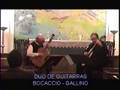 CHICAMUCHA - MATS NORREFALK - BOCACCIO - GALLINO