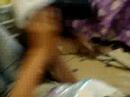 Our Dog Doche Our Dog Doche
