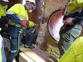 General Brick Removal