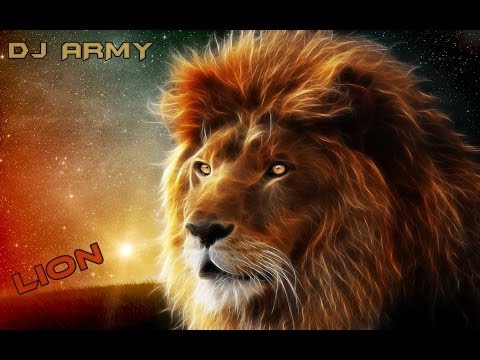 Dj Army - Lion 2014