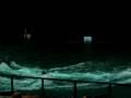 videos de Miami Seaquarium Monster Splash