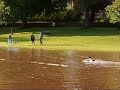Cupar Haugh Park flooding August 13th 2008