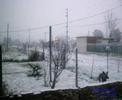NIEVE EN BOSQUES NIEVE EN BOSQUES