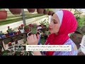هذا الصباح-صبارة.. مشروع طامح لمهندسة من غزة -Views : 0