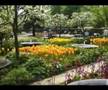 Tivoli Gardens