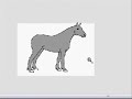 HorseIsle: American Cream Draft Drawing