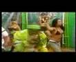 Bladdy V - TV Show Swing Pachangero