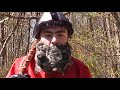 Donjon Naheulbeuk - Le film - Episode 1 Donjon Naheulbeuk - Le film - Episode 1
