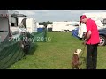 Training at Adams show 27th May 2016