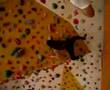Bouldering Wonderland