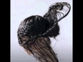 Björk Oceania