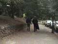 UCPD Harassment of Oak Grove Tree-Sit Dec 2006 - Sept 2007