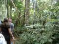 walking around in forest