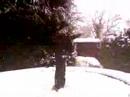 Tuff in da snow