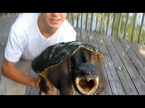 how to snap video without holding