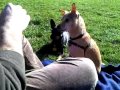 snugget_sync.mp4