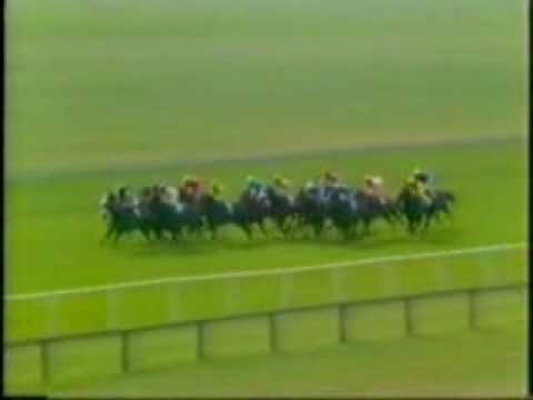 racing results cheltenham