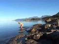 The movie Polarrundan Trailer