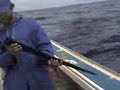 angilla fishermen