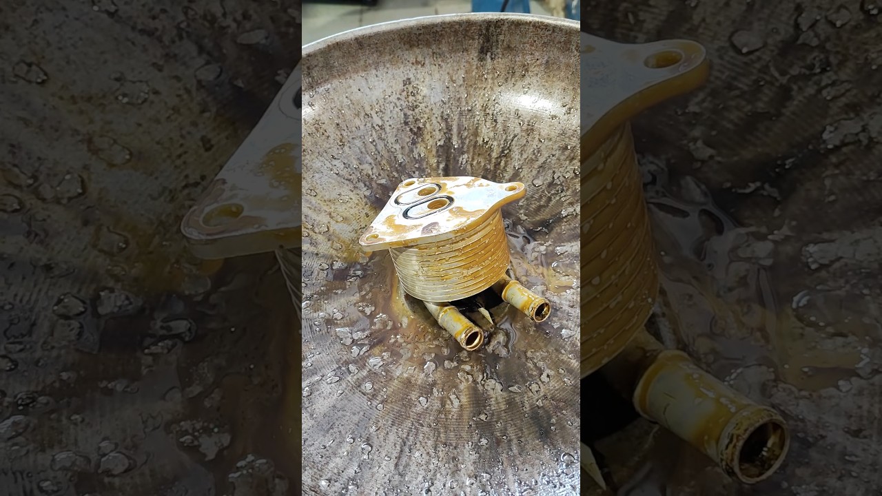 Deu ruim dessa vez 🫠