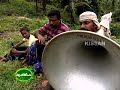 Large scale banana cultivation undertaken by a young farmer in a large leased lands.