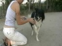 See Video