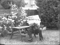 buster-keatons-first-scene-in-his-50s.html