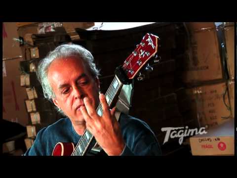 Guitarra Semi Acústica Tagima Blues 3000 (Visão Geral) 0 Guitarra Semi Acústica Tagima Blues 3000 (Visão Geral)