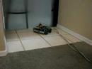 Python bot: starting to think for itself