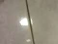 il mio piedino nel mio calzino