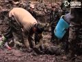 Солдатский лес