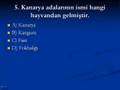 Kendinizi karadenizliden zekimi sanıyorsunuz?
