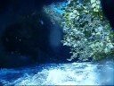 Lower Cheoah River Helment Cam