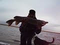 show#25 SHORE FISHING 101