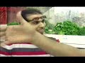 للكاتب المرحوم حسين الحافظ (سهل)زمن اخراج هشام العبدي