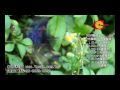 穎陞光碟壓片工廠-DVD & CD & BLUDISC & HD-DVD