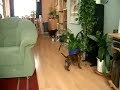 Monster Kodi Dogo Canario 4