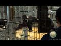 Mafia 2 на PAX East - PhysX (27 марта 2010 года)