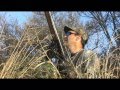 Argentina Doves Hunting