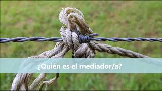 Begoña Diez Nieto-19