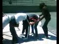 burro en bala chicas